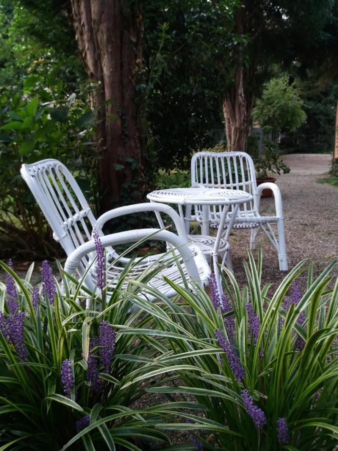 B&B Il Cortile Malpensa Casorate Sempione Εξωτερικό φωτογραφία