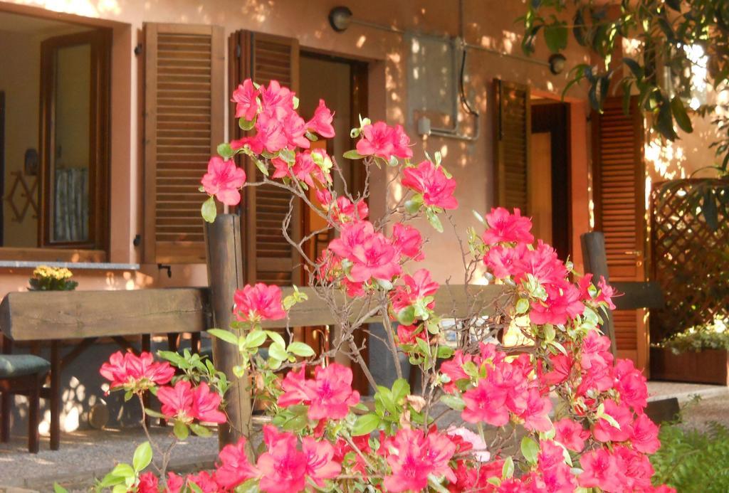 B&B Il Cortile Malpensa Casorate Sempione Δωμάτιο φωτογραφία